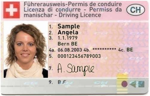 Ausweis, License, Licensa